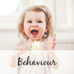 Understanding Toddlers Workshop