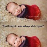 Private Sleep Consultation/Workshop (1-1)